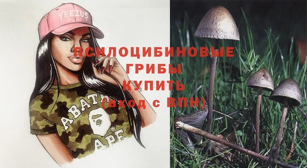трава Армянск