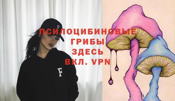 мяу мяу мука Арсеньев